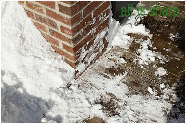 Preconstruction-228-4189191