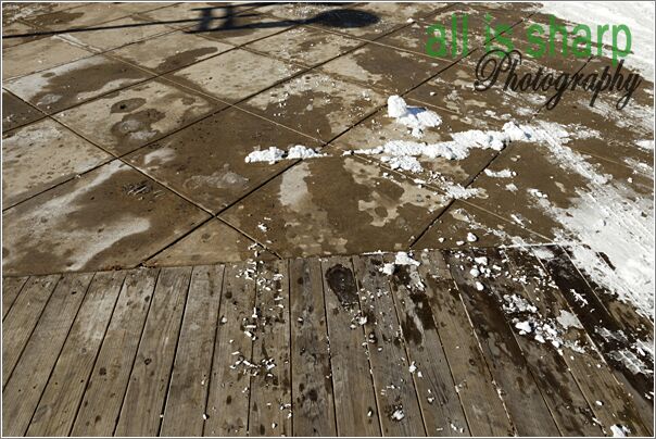 Preconstruction-233-4189189